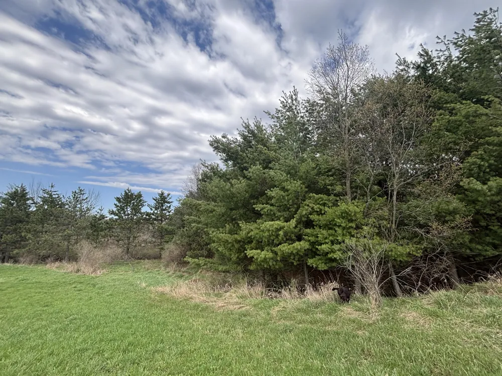 8 18 Mile Road Remus, MI 49340