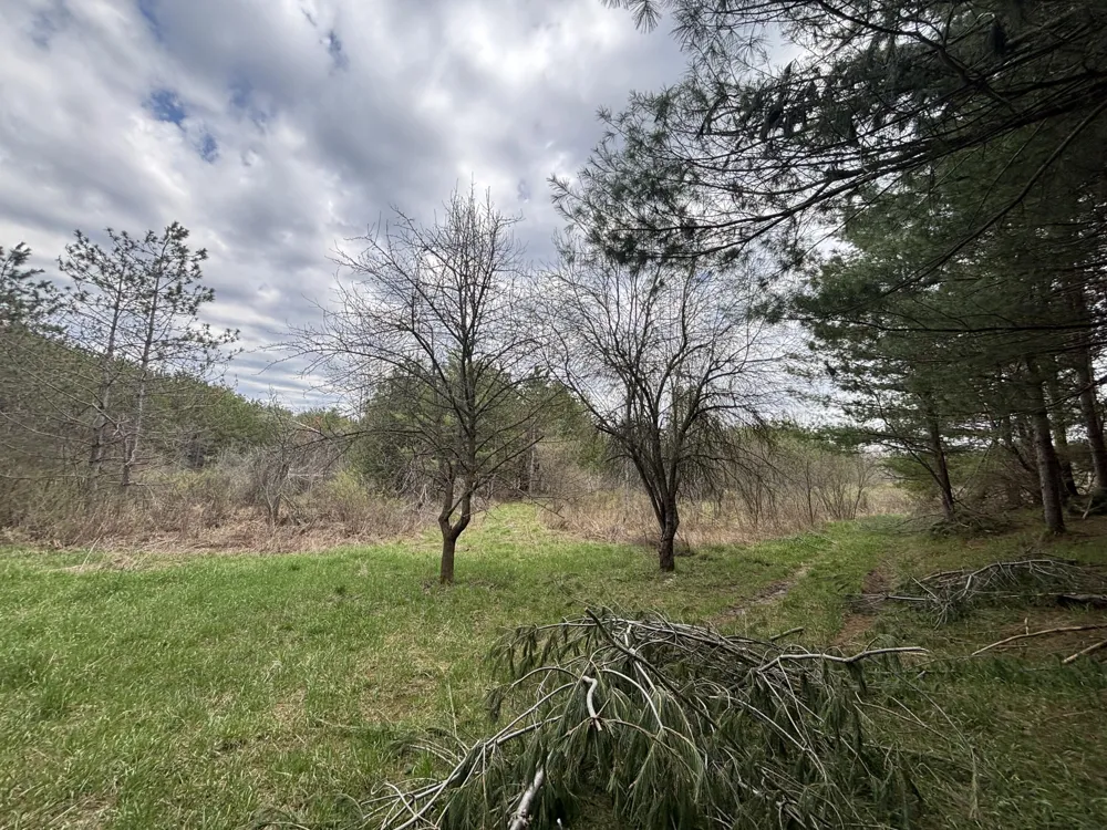 8 18 Mile Road Remus, MI 49340
