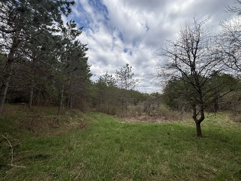 8 18 Mile Road Remus, MI 49340