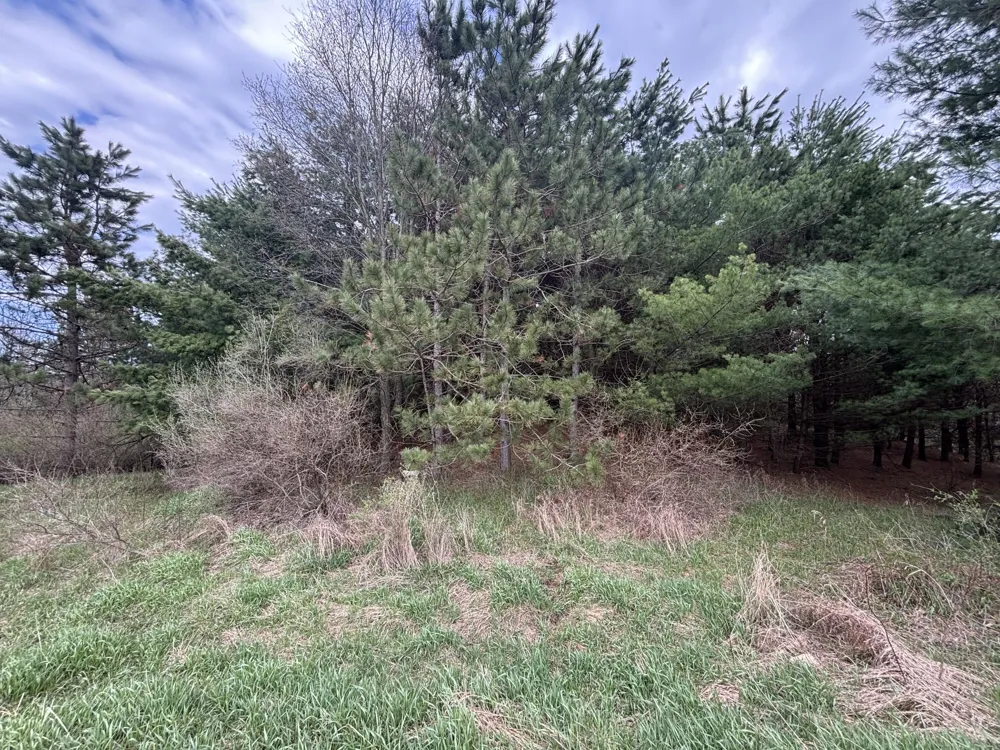 8 18 Mile Road Remus, MI 49340