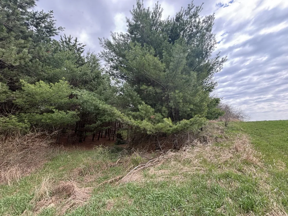8 18 Mile Road Remus, MI 49340