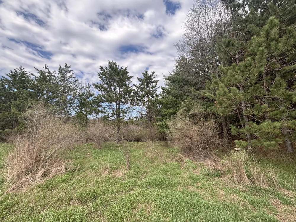 8 18 Mile Road Remus, MI 49340