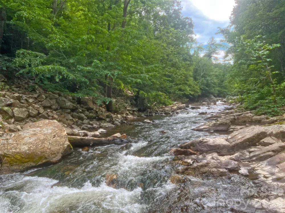 257 Henderson Drive Hot Springs, NC 28743