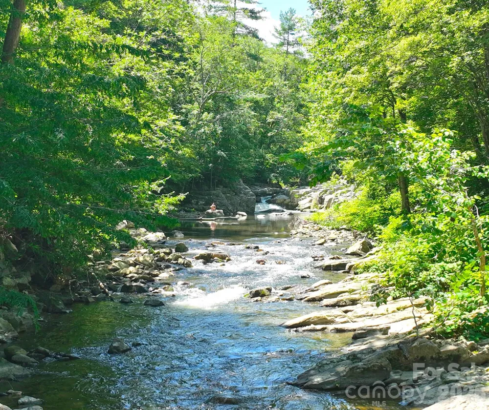 257 Henderson Drive Hot Springs, NC 28743