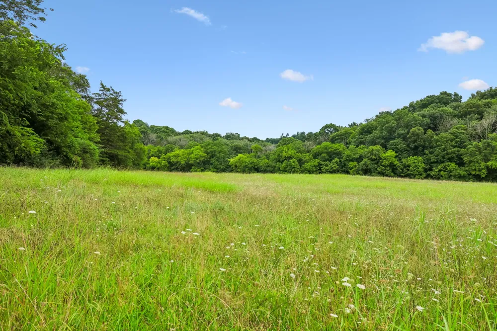 50 Bill Edde Rd Belvidere, TN 37306