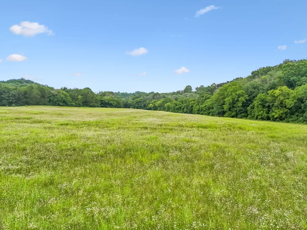 50 Bill Edde Rd Belvidere, TN 37306