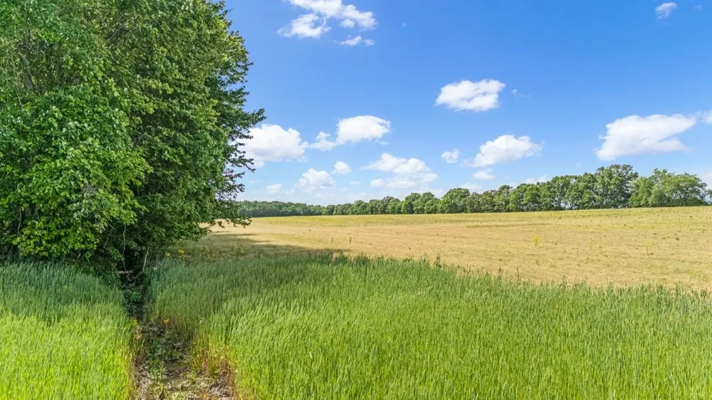 3249 Fredonia Rd Manchester, TN 37355