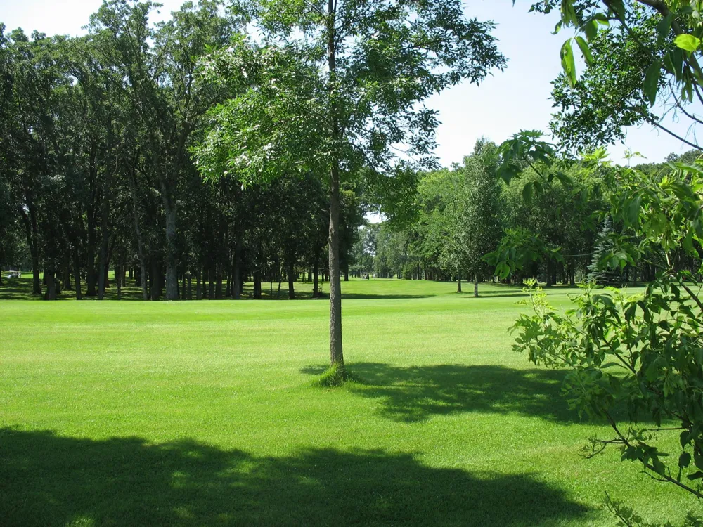 Lot 2 Bk 1 285th Street Battle Lake, MN 56515