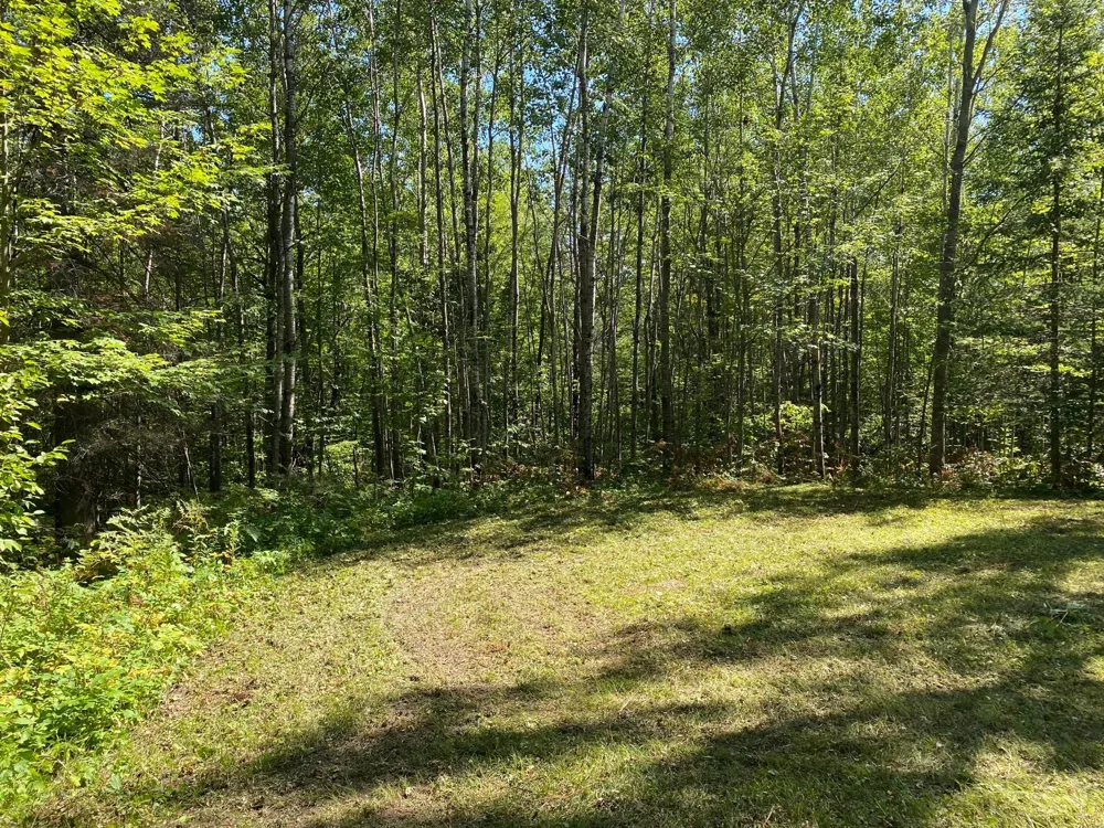 TBD Buck Dr. Bovey, MN 55709