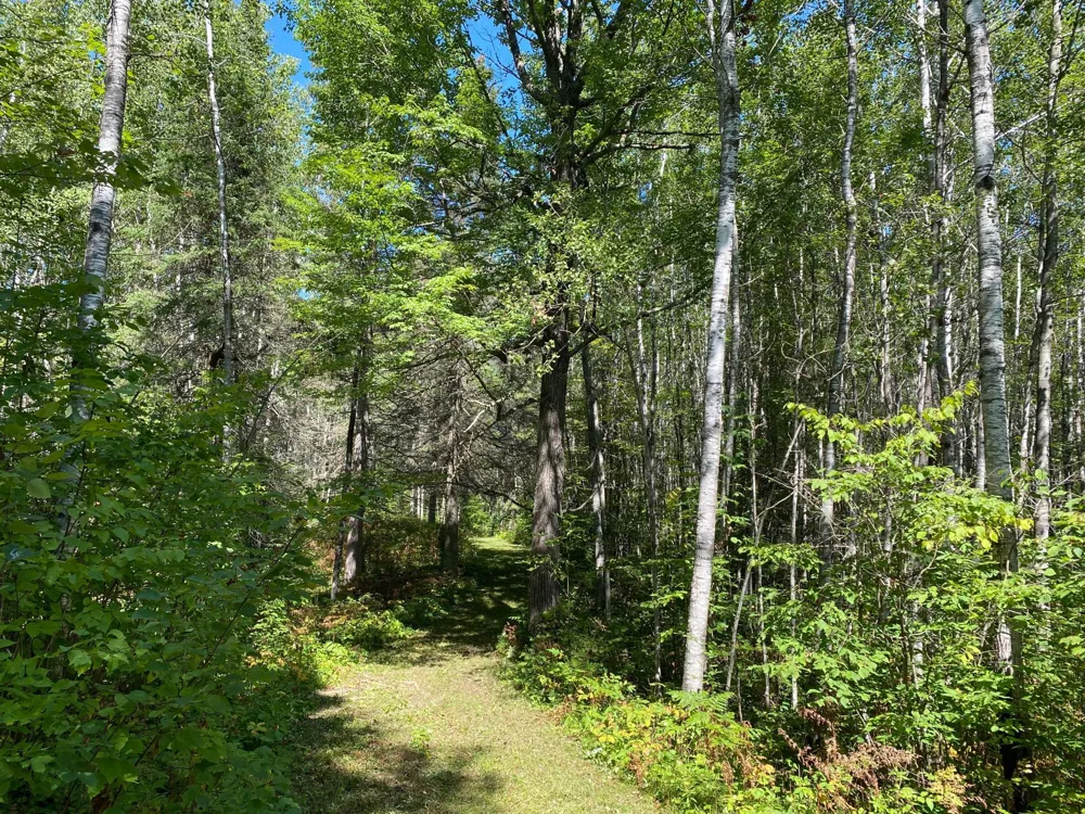 TBD Buck Dr. Bovey, MN 55709