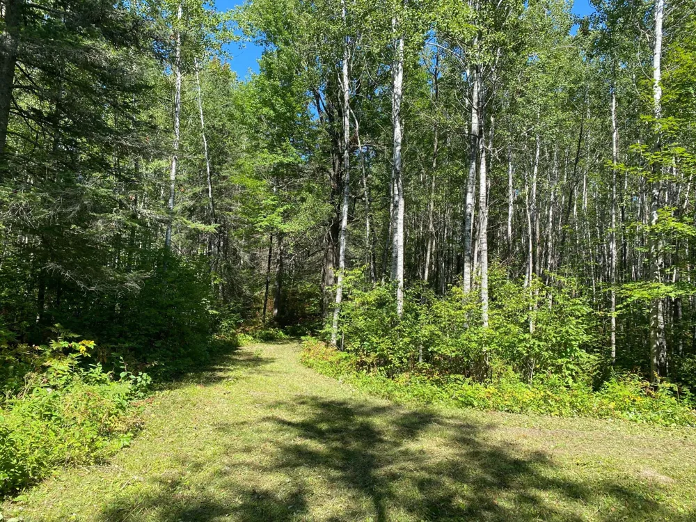 TBD Buck Dr. Bovey, MN 55709