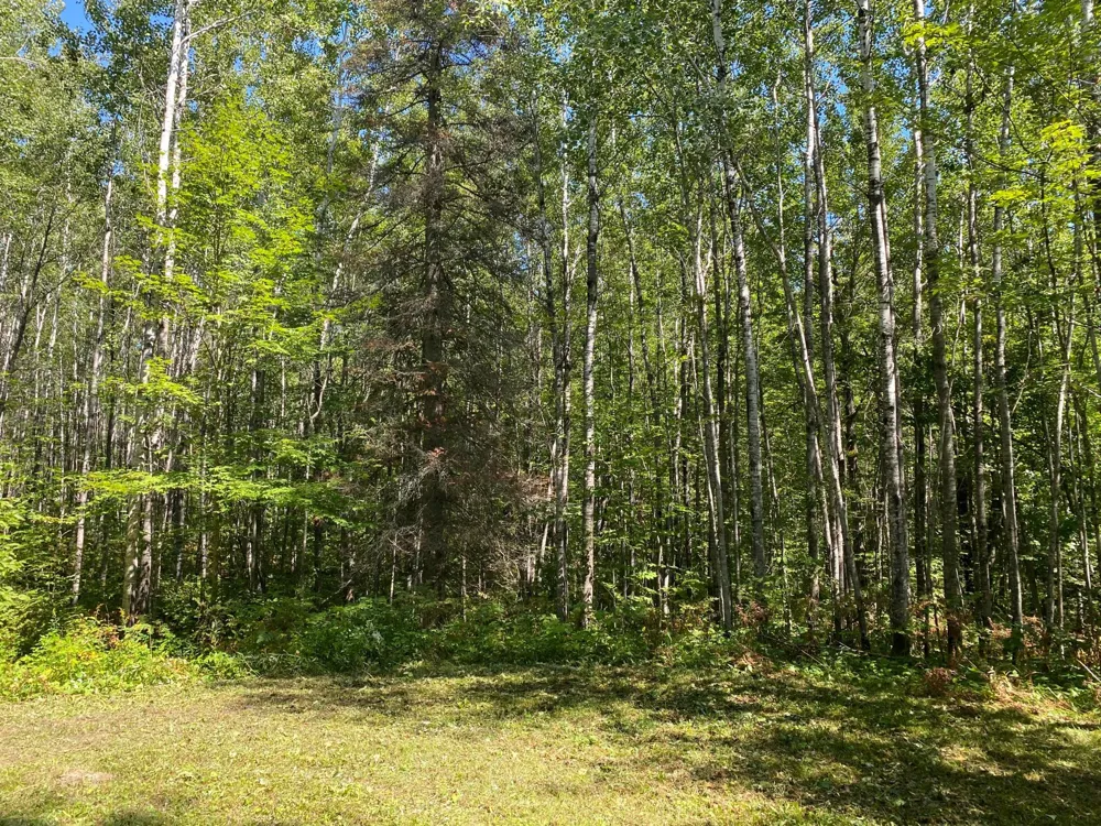 TBD Buck Dr. Bovey, MN 55709