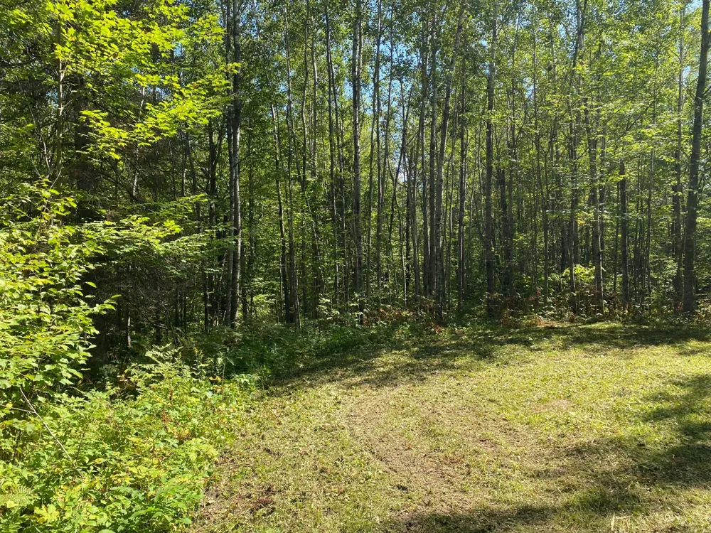 TBD Buck Dr. Bovey, MN 55709