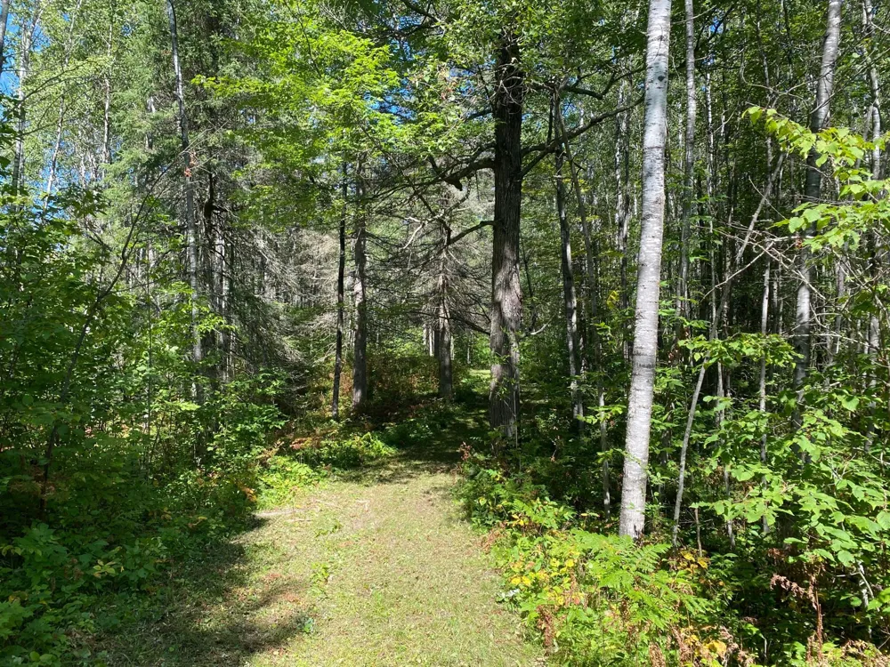 TBD Buck Dr. Bovey, MN 55709