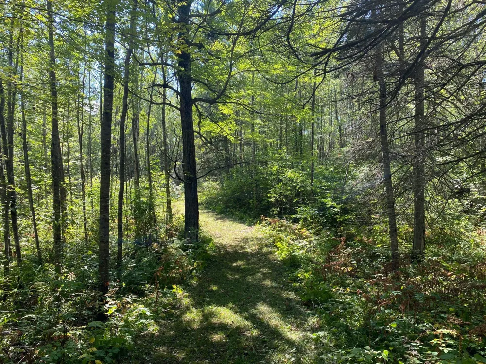 TBD Buck Dr. Bovey, MN 55709