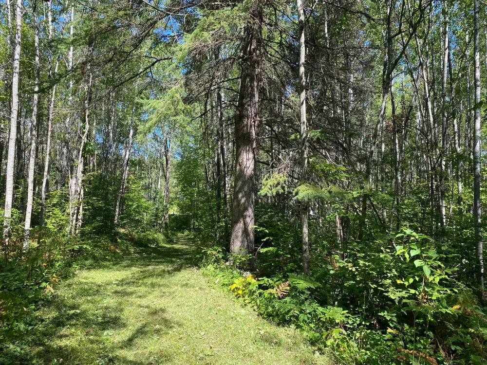 TBD Buck Dr. Bovey, MN 55709