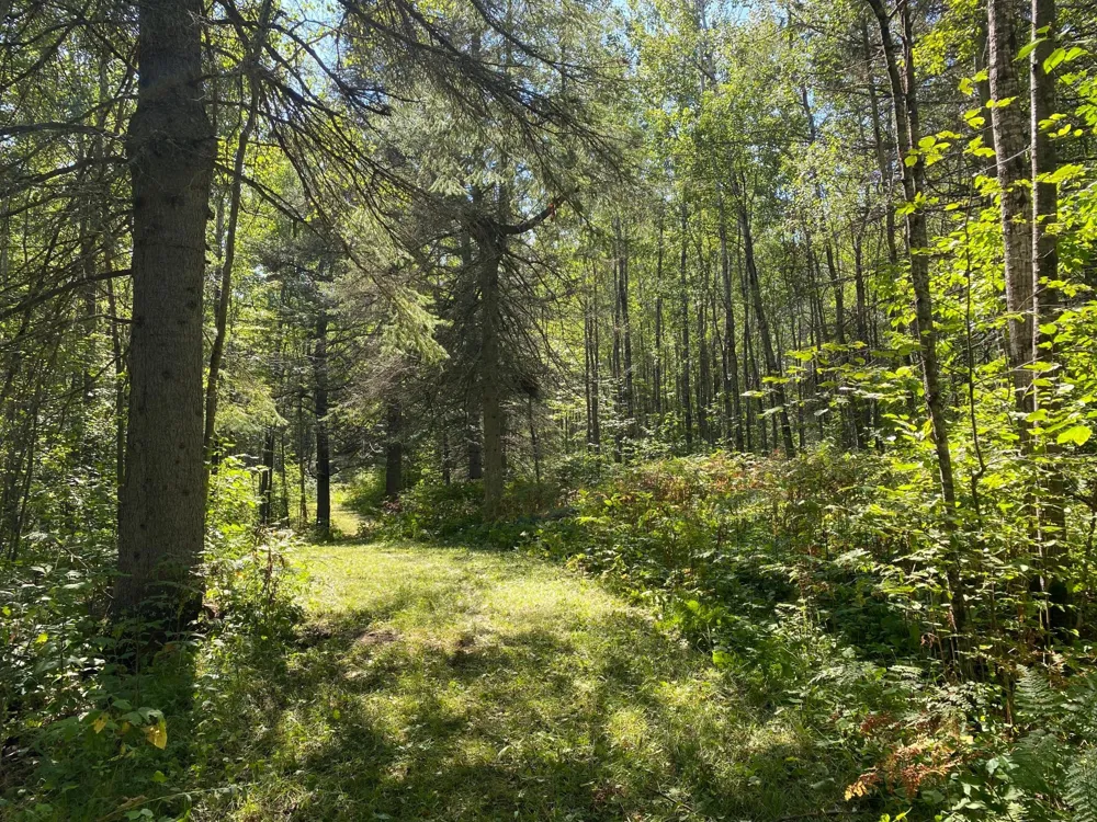 TBD Buck Dr. Bovey, MN 55709