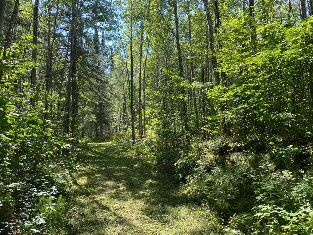 TBD Buck Dr. Bovey, MN 55709