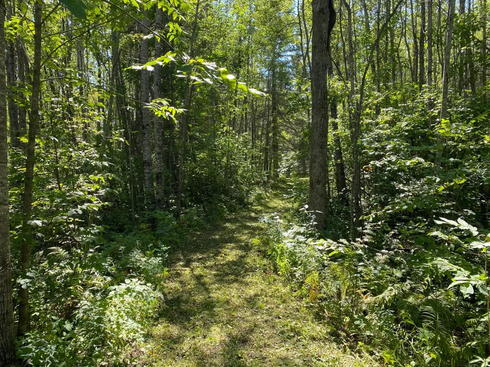 TBD Buck Dr. Bovey, MN 55709