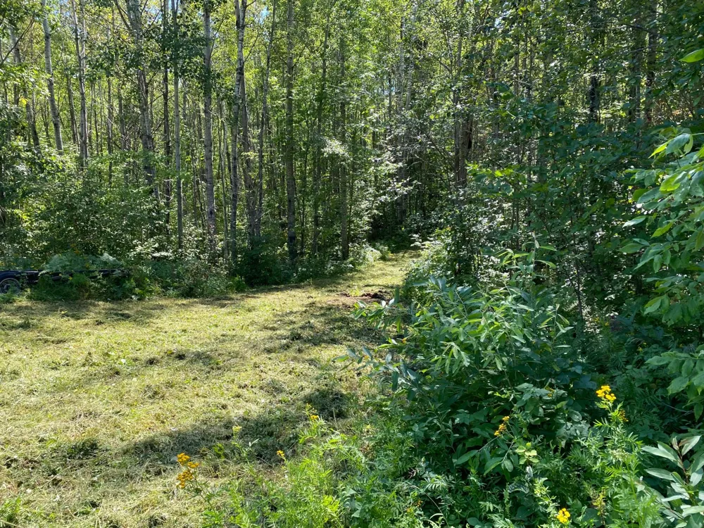 TBD Buck Dr. Bovey, MN 55709