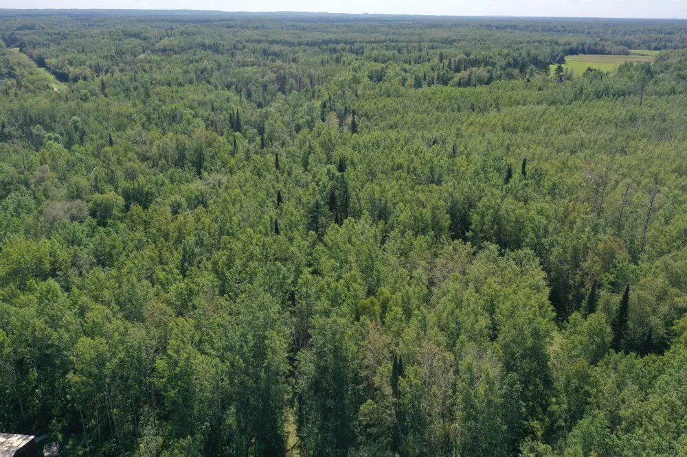 TBD Buck Dr. Bovey, MN 55709