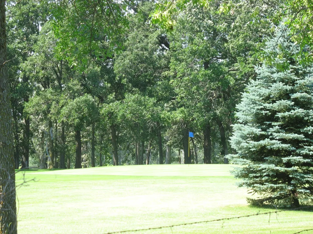 Lot8 Blk1 285th Street Battle Lake, MN 56515