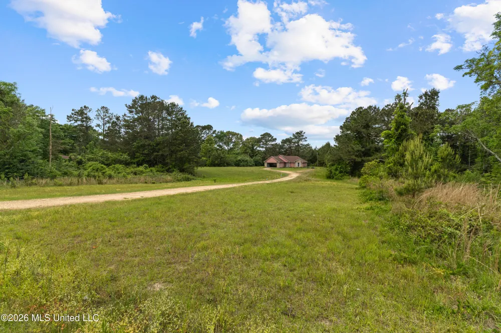 41 Adams Lane Prentiss, MS 39474