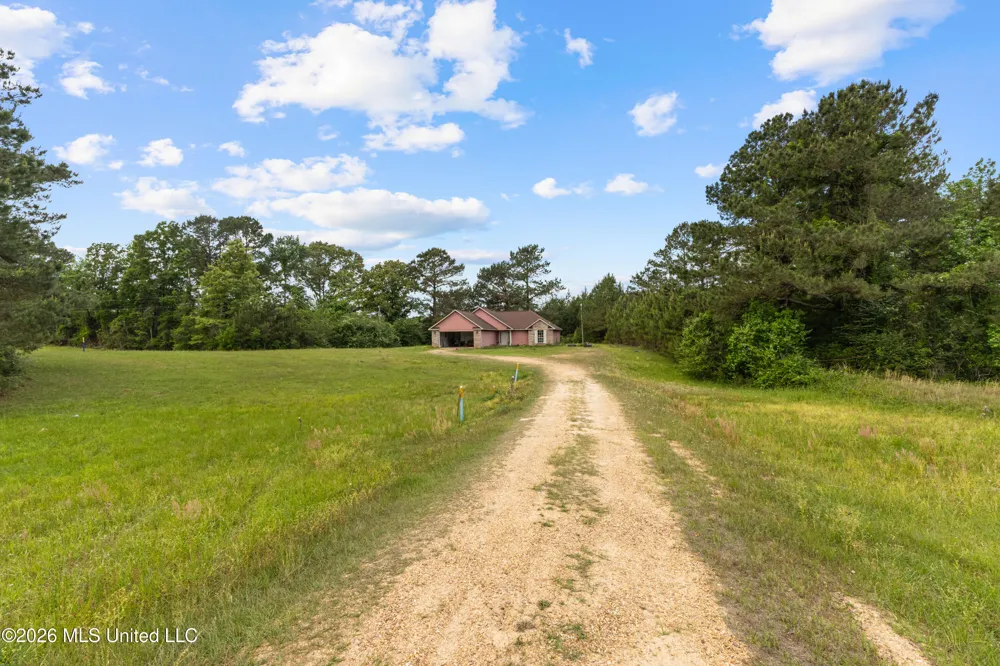41 Adams Lane Prentiss, MS 39474