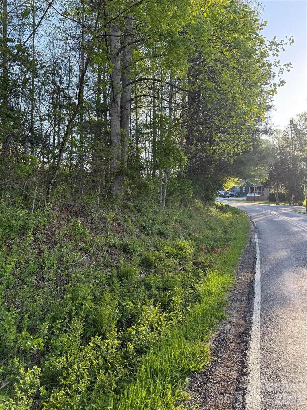 00 Cashiers Valley Road #Tract 2 Brevard, NC 28712