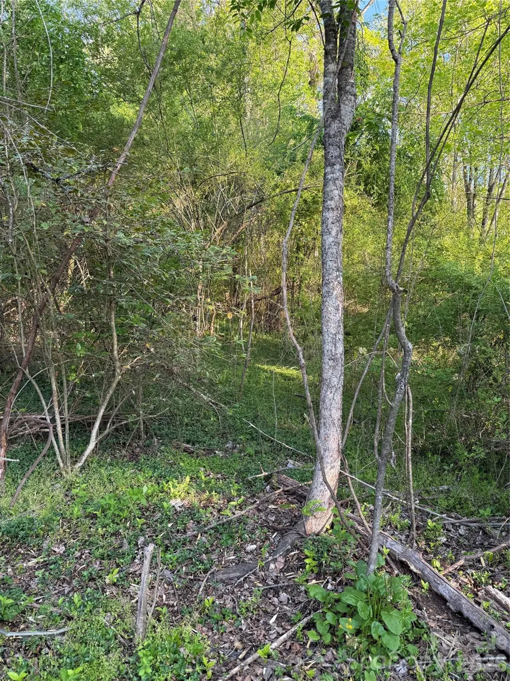 00 Cashiers Valley Road #Tract 2 Brevard, NC 28712