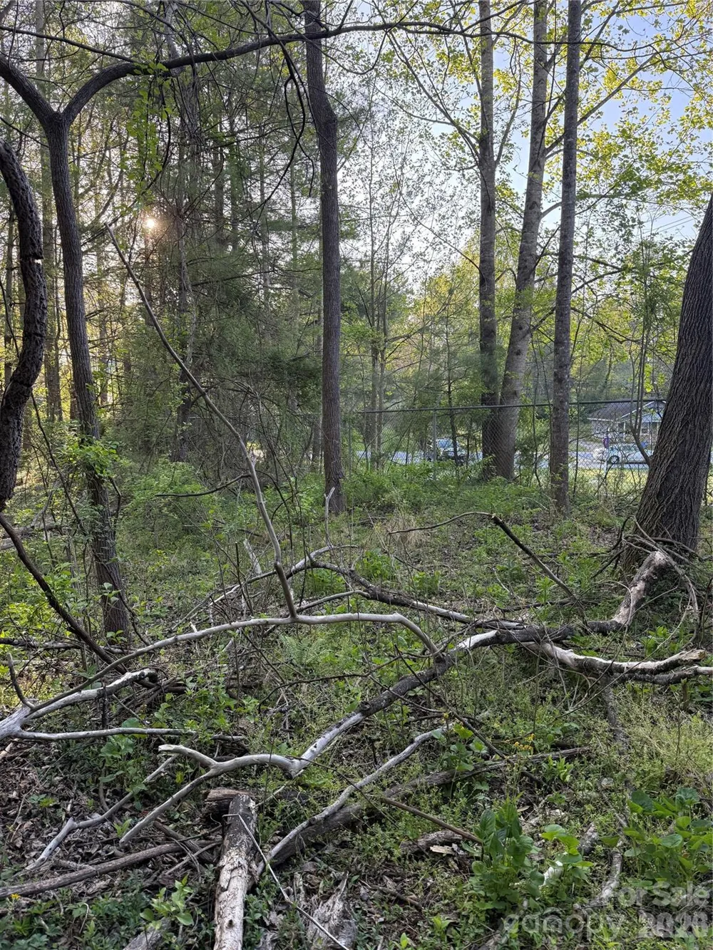 00 Cashiers Valley Road #Tract 2 Brevard, NC 28712