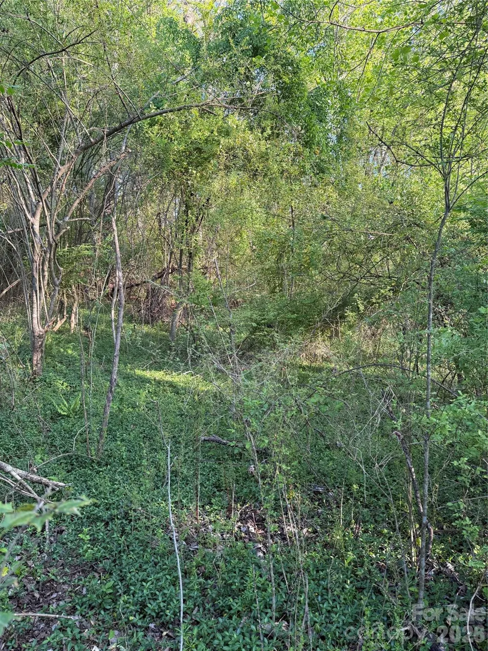 00 Cashiers Valley Road #Tract 2 Brevard, NC 28712