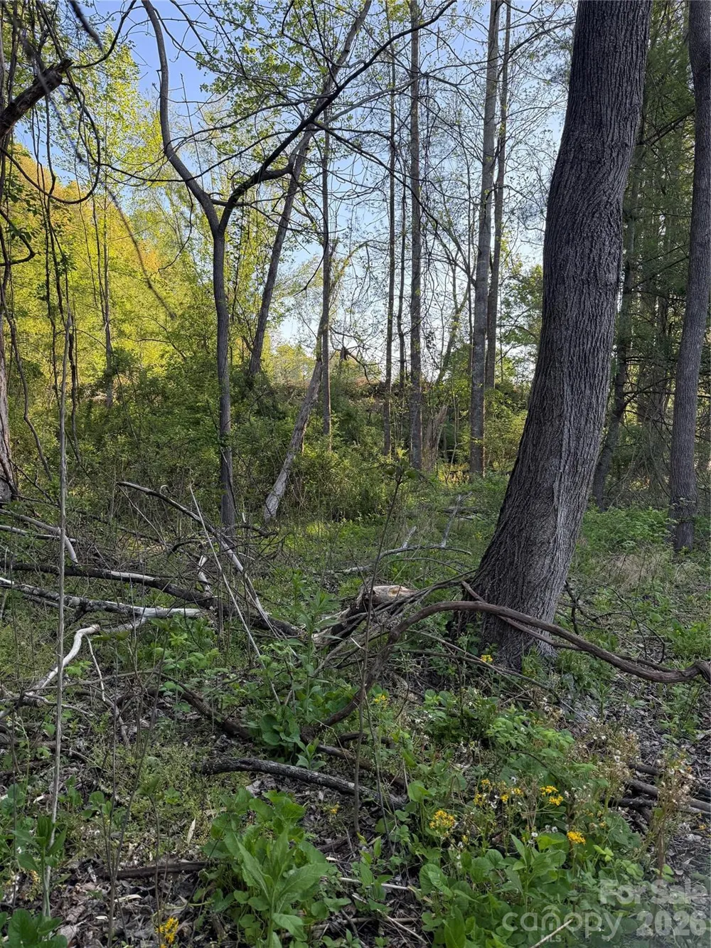00 Cashiers Valley Road #Tract 2 Brevard, NC 28712