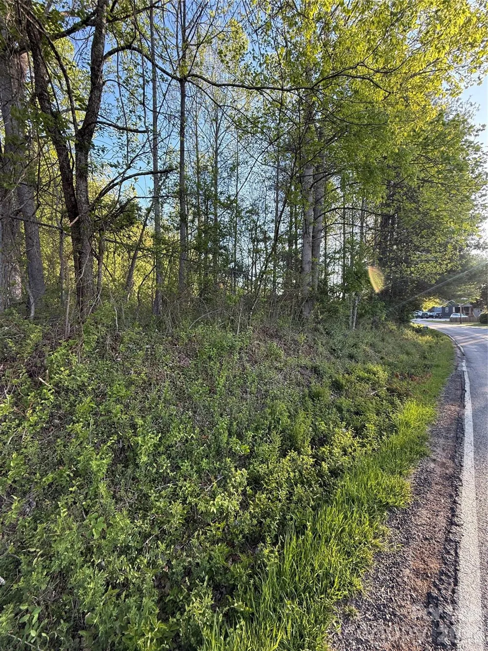 00 Cashiers Valley Road #Tract 2 Brevard, NC 28712