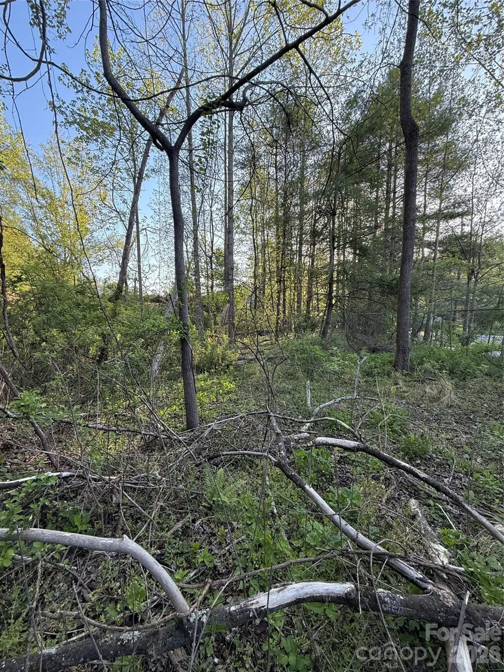 00 Cashiers Valley Road #Tract 2 Brevard, NC 28712