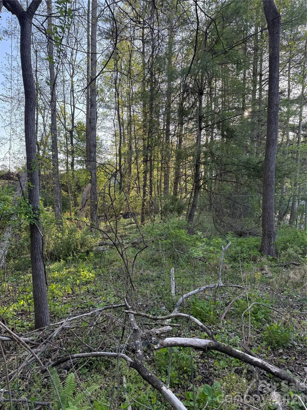 00 Cashiers Valley Road #Tract 2 Brevard, NC 28712