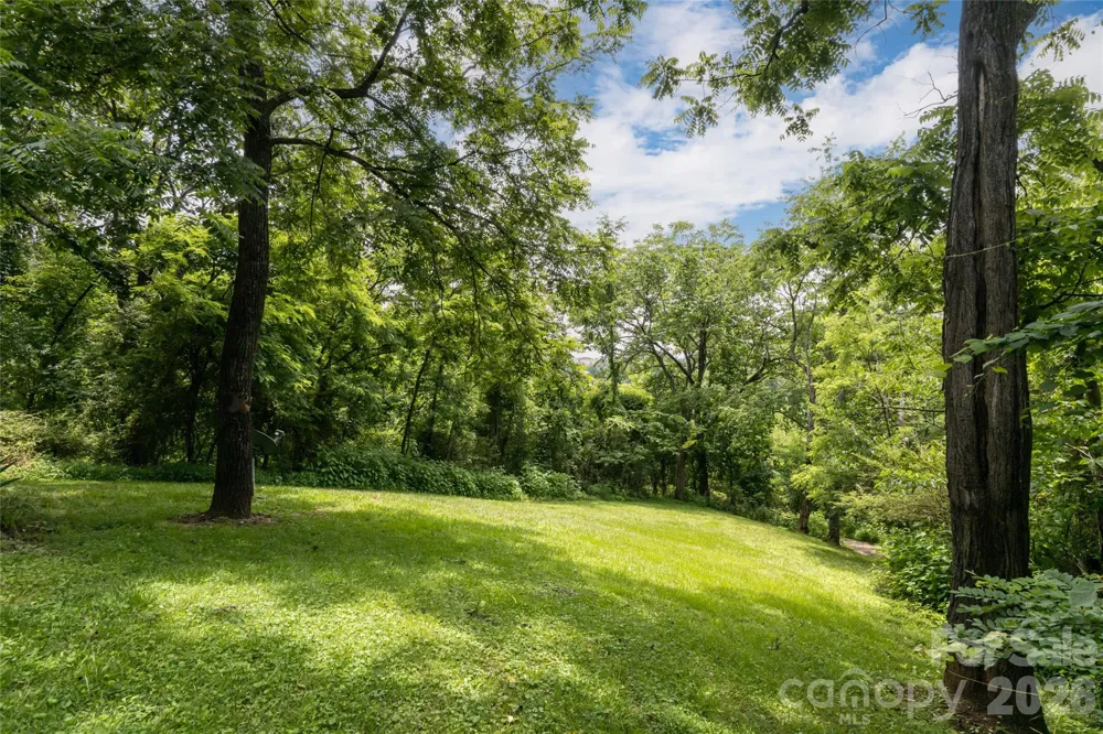 119 Old Salem Branch Drive Alexander, NC 28701