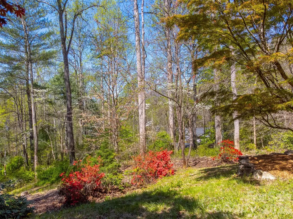 605 Toy Cove Road Sylva, NC 28779