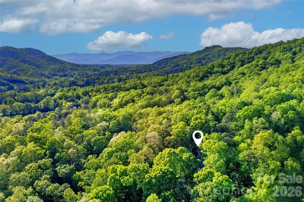 221 Hammer Hollow Drive Marion, NC 28752