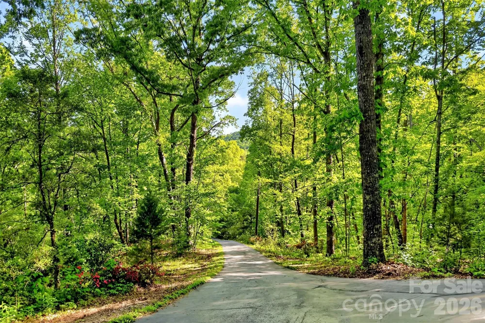 221 Hammer Hollow Drive Marion, NC 28752