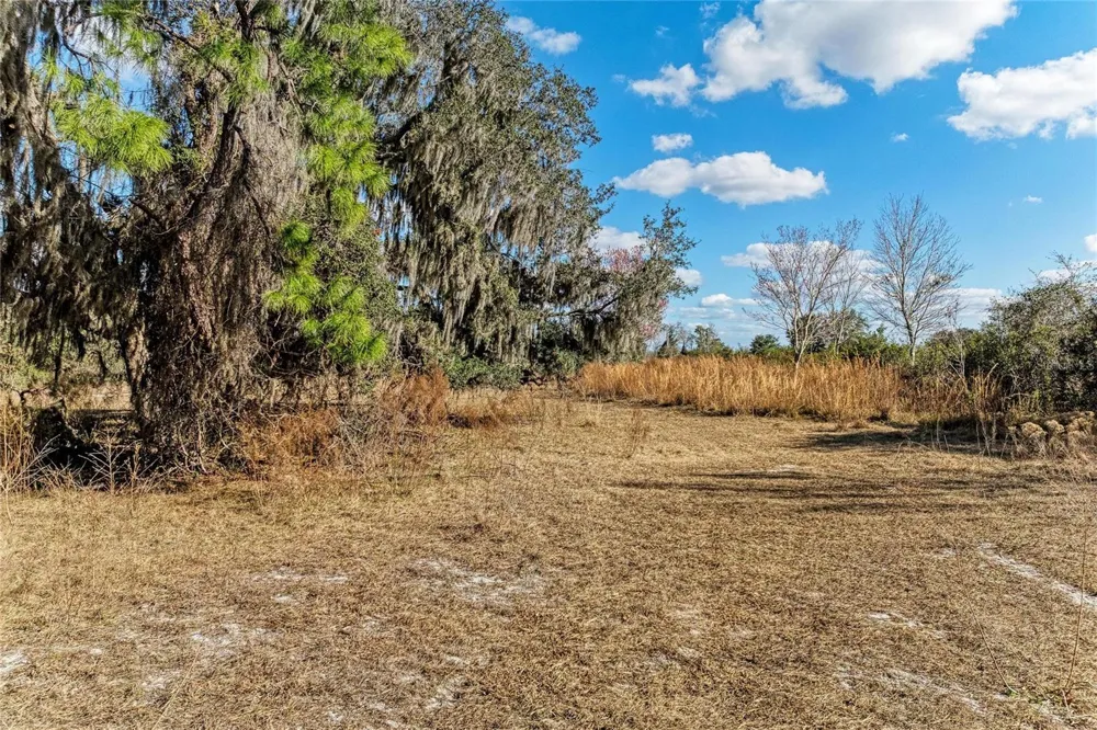 33100 & 33070 TAYLOR GRADE ROAD Parrish, FL 34219