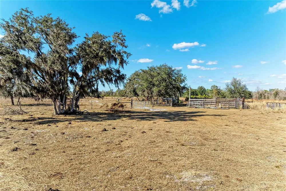 33100 & 33070 TAYLOR GRADE ROAD Parrish, FL 34219