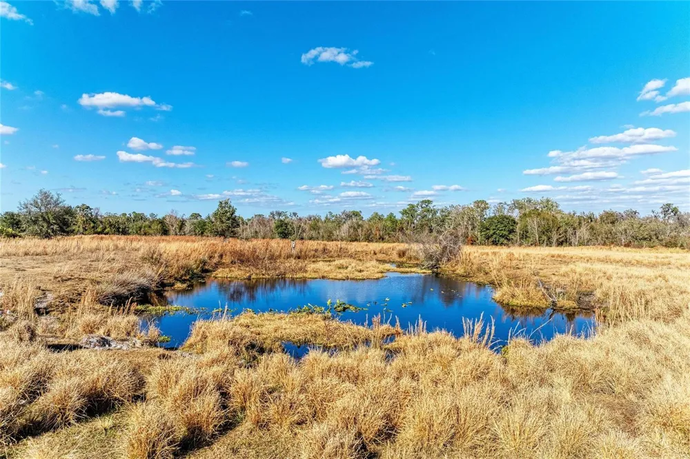 33100 & 33070 TAYLOR GRADE ROAD Parrish, FL 34219