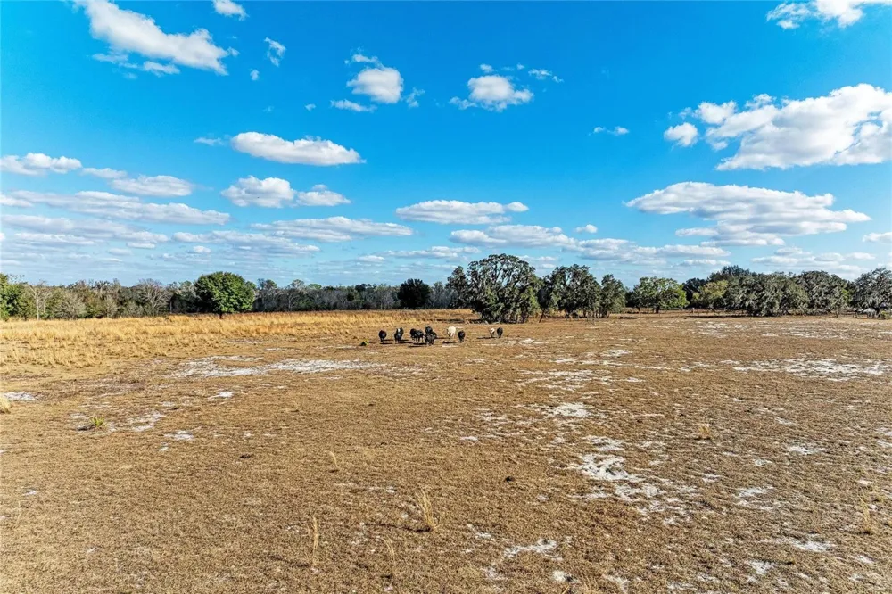 33100 & 33070 TAYLOR GRADE ROAD Parrish, FL 34219