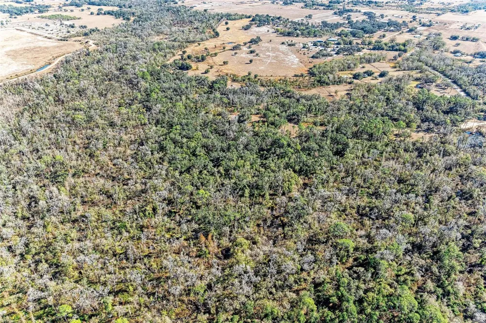33100 & 33070 TAYLOR GRADE ROAD Parrish, FL 34219