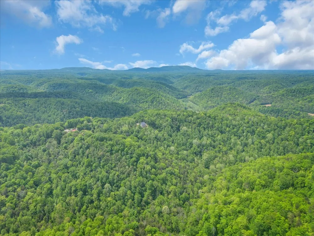 8350 Old Mill Hill Rd Dowelltown, TN 37059