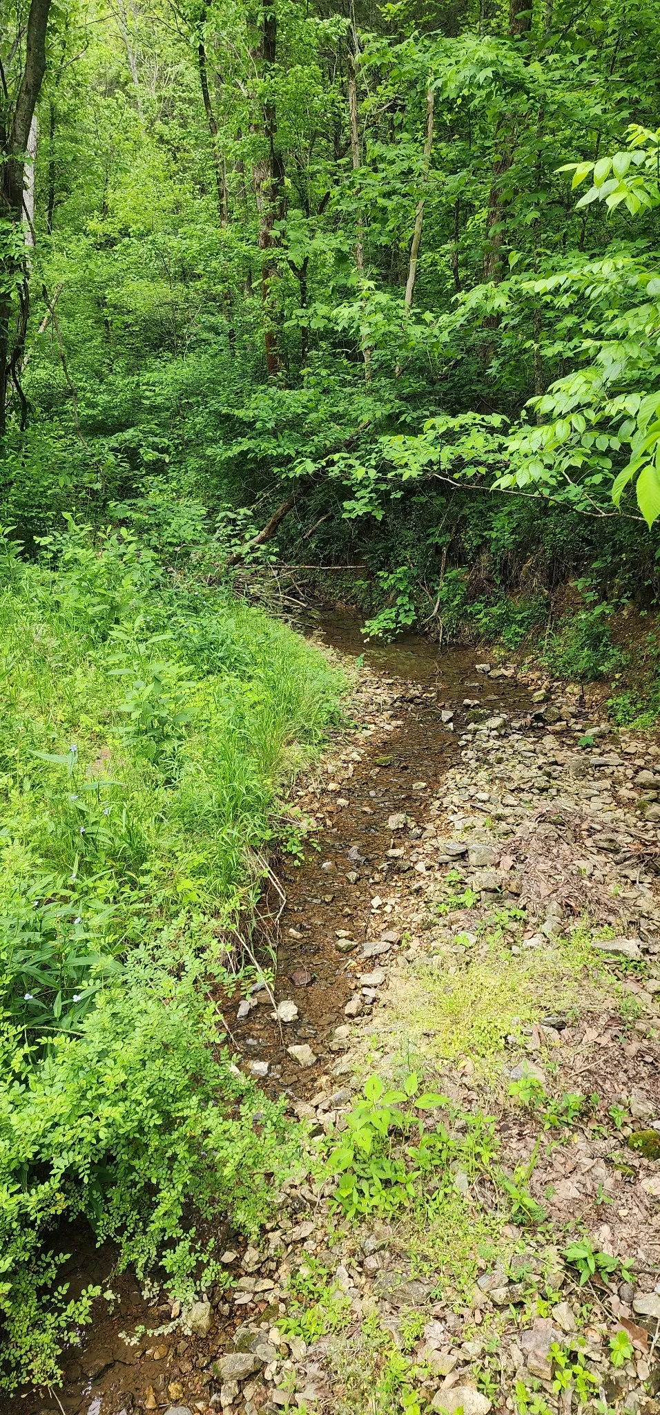 8350 Old Mill Hill Rd Dowelltown, TN 37059