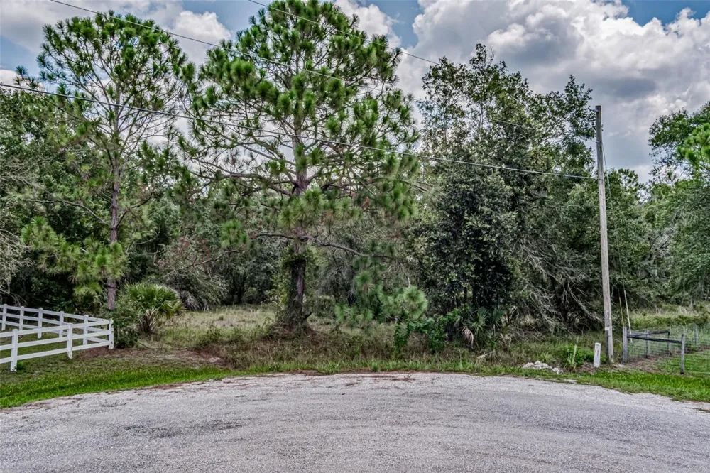 401 INDIAN MEADOW COURT Wimauma, FL 33598