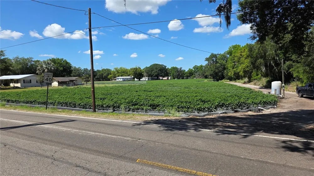 GALLAGHER ROAD Dover, FL 33527