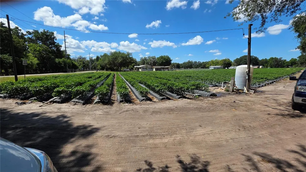 GALLAGHER ROAD Dover, FL 33527